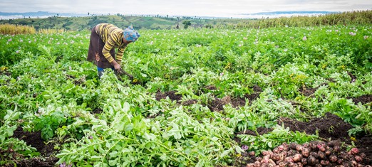 Regenerative Agriculture: A Force for Changing the World