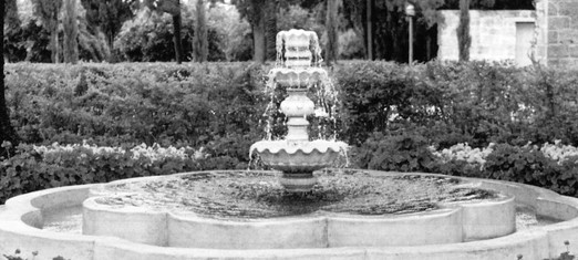 The Garden of Freedom