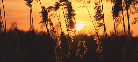 El Bab y Bahá’u’lláh: dos mensajeros divinos