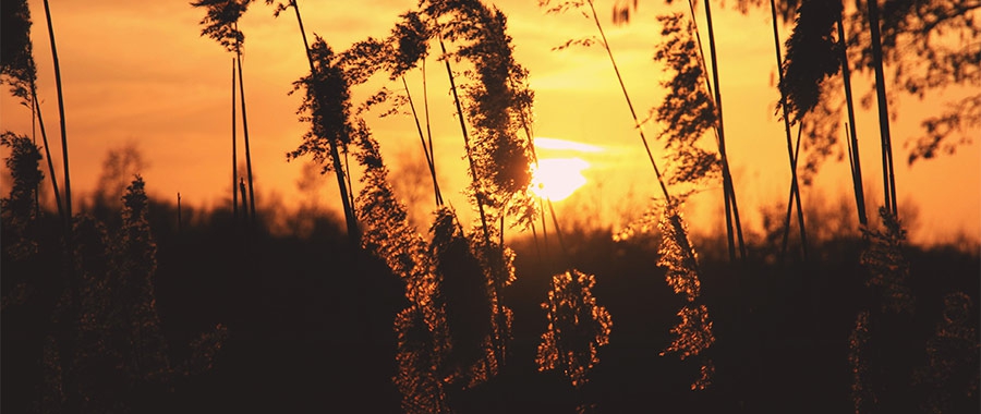 El Bab y Bahá’u’lláh: dos mensajeros divinos