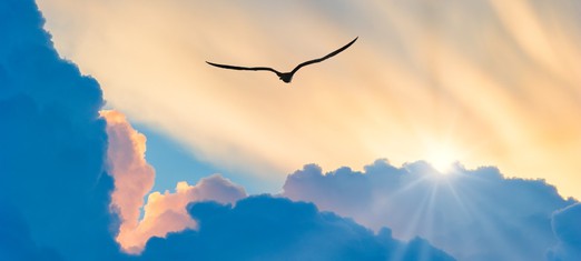 The Creator’s Messengers: Our Letters From the Beloved