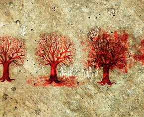 Notes from a New Baha’i – Timelines