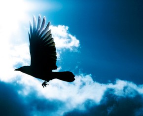 What if God Sends Us Messengers?