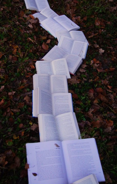 Dr. Anthony Lee and the Excavation of Buried Racial Narratives